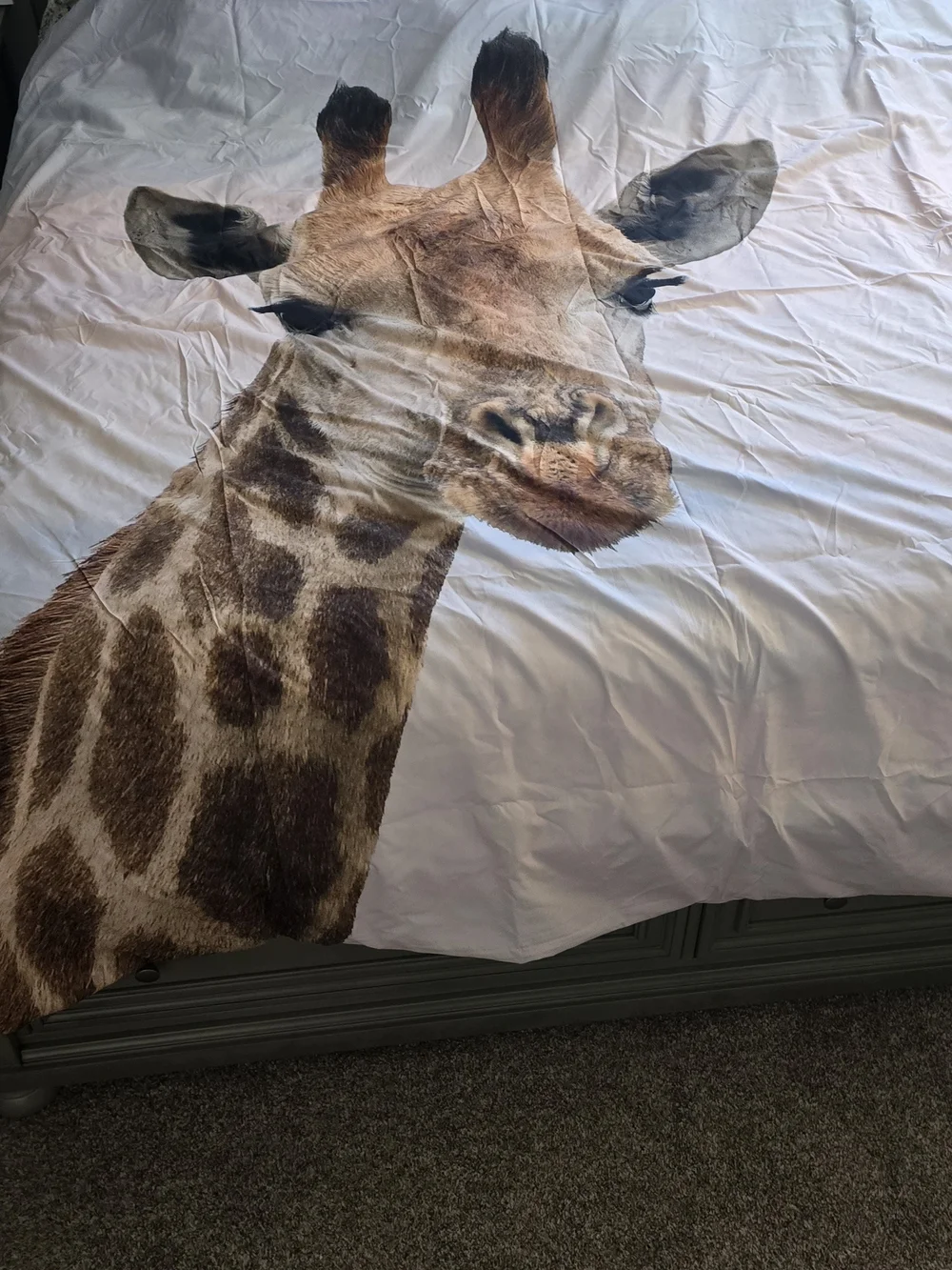 Giraffe Print Duvet Cover 3 Piece- Playful Safari Bedding Queen